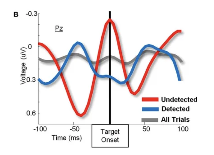 Alpha oscillations and visual awareness